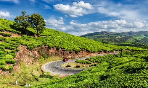 Kerala Tour